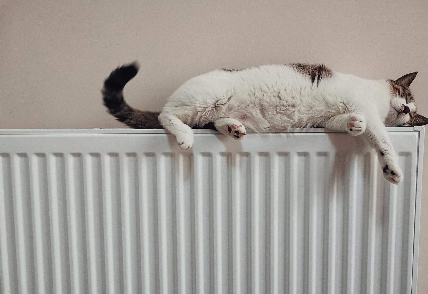 Are gas boilers banned?