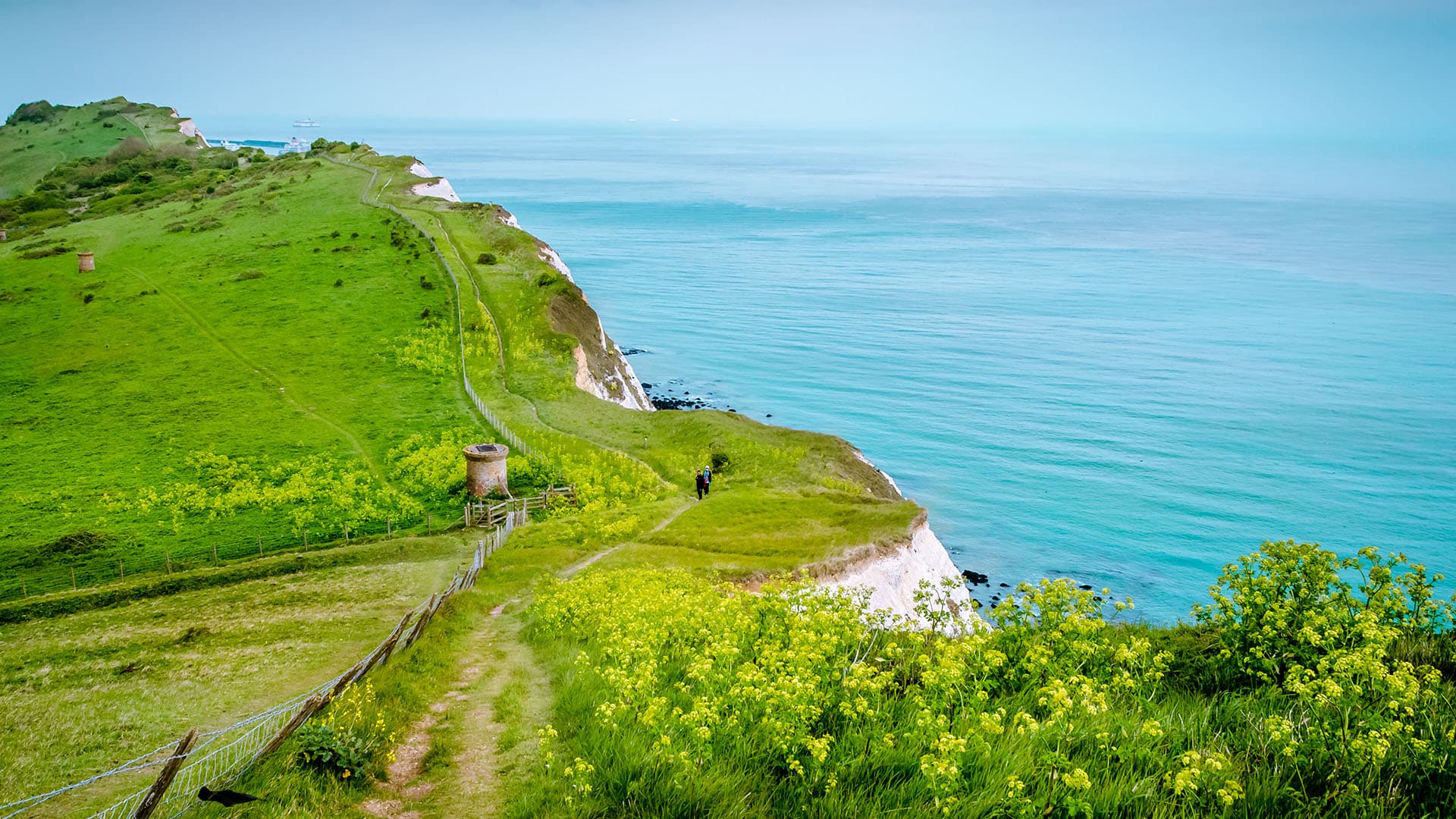 Folkestone  Area Guide